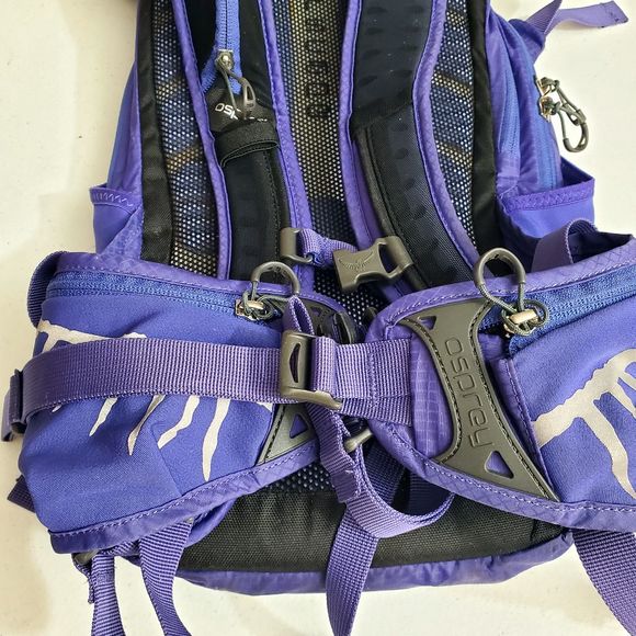 Osprey Hydraulics Raven 14 Hiking Backpack - Picture 11 of 15